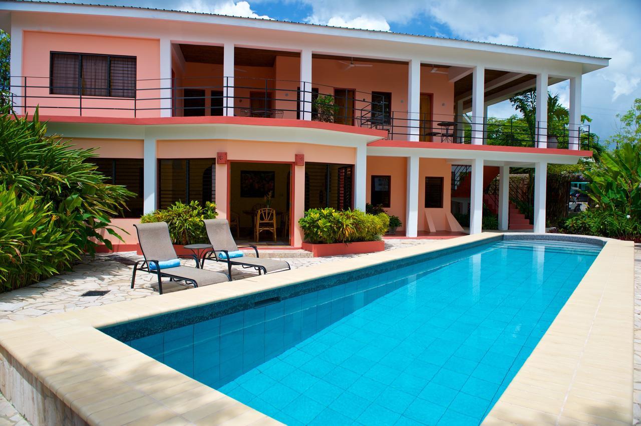 Coral House Bed and Breakfast Punta Gorda Exteriör bild